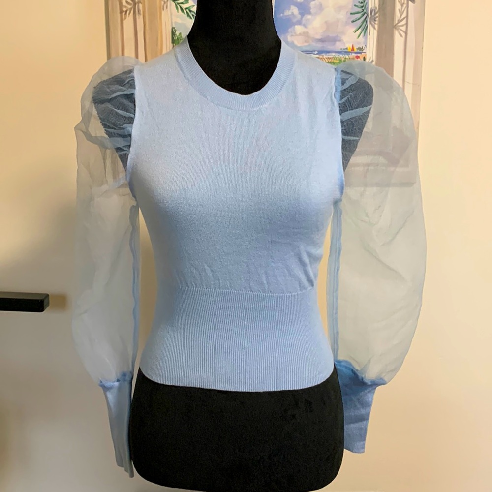 Blue Mesh sleeves Sweater